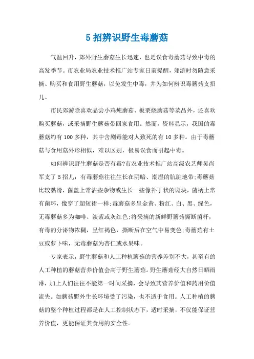 5招辨识野生毒蘑菇