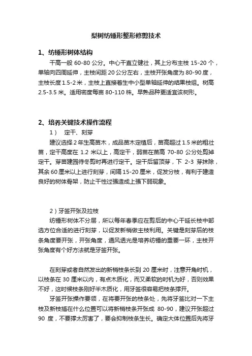 梨树纺锤形整形修剪技术