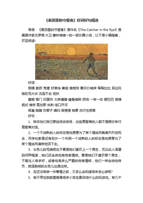 《麦田里的守望者》好词好句精选