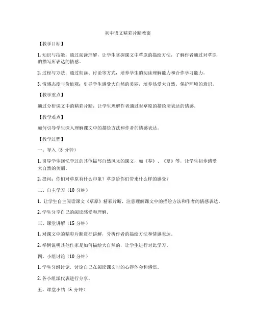 初中语文精彩片断教案