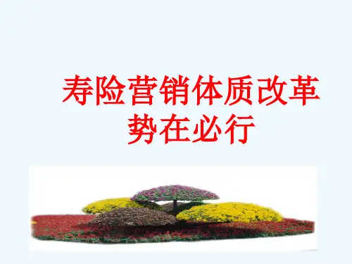 营销员体制改革