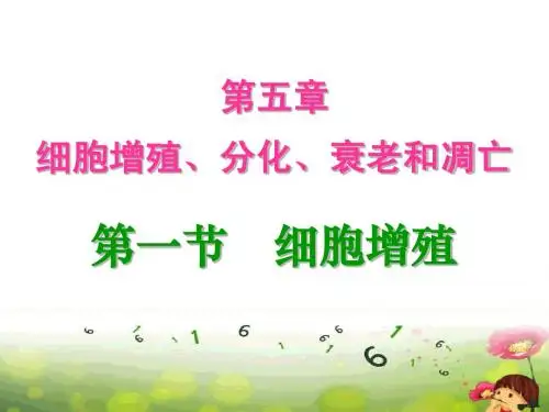 高中生物必修一 第一节 细胞增殖