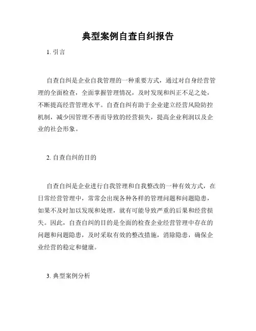 典型案例自查自纠报告
