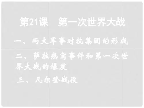 九年级历史上册 第21课 第一次世界大战课件 新人教版