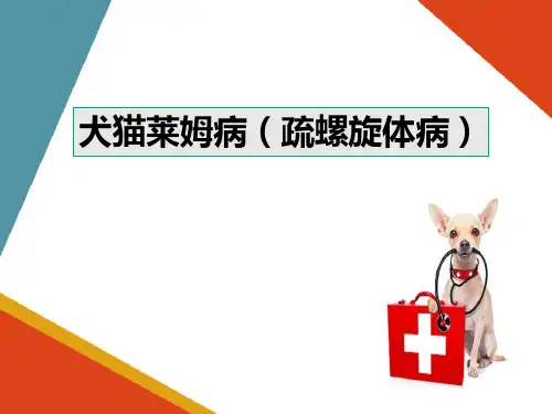 宠物传染病防治—犬猫莱姆病的诊断与治疗