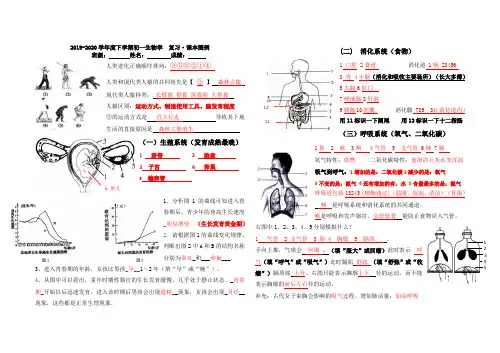 答案 初一生物学下册总复习专题识图图例