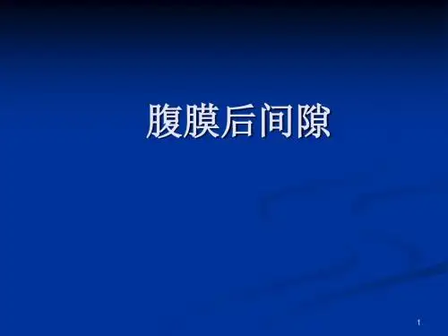 腹膜后间隙超声ppt课件