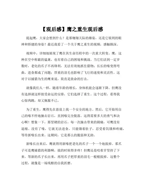 【观后感】鹰之重生观后感