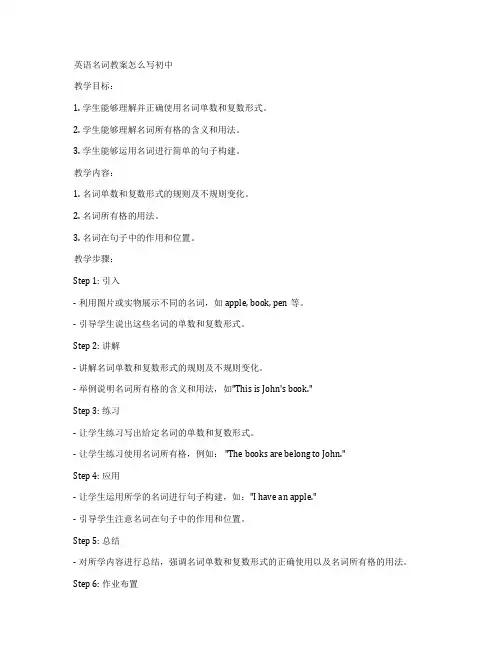 英语名词教案怎么写初中