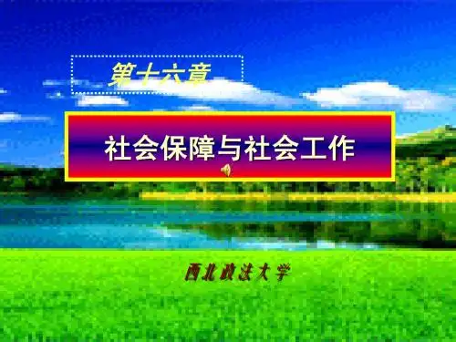 第十六章社会保障与社会工作_社会学原理