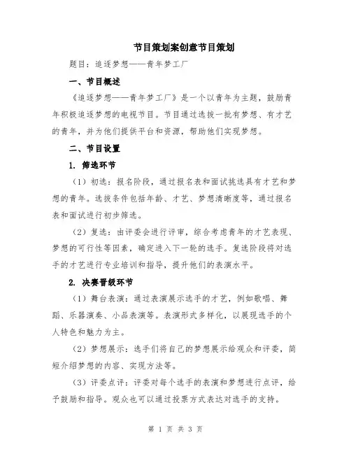 节目策划案创意节目策划