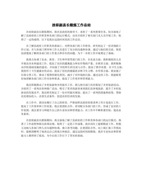 挂职副县长锻炼工作总结