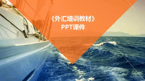 2024年度《外汇培训教材》PPT课件