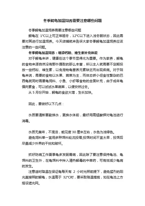 冬季鳄龟加温饲养需要注意哪些问题