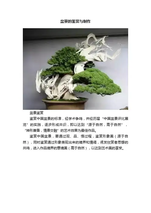 盆景的鉴赏与制作
