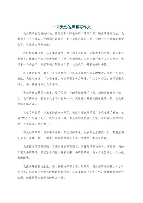 一只受伤的麻雀写作文