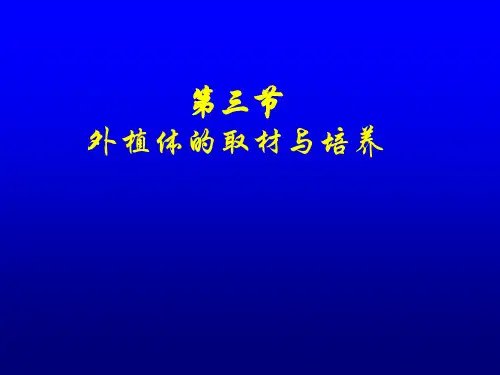 植物组织培养学课件 (6)