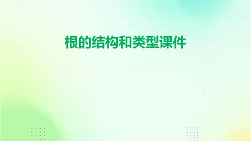 根的结构和类型课件