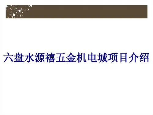 六盘水源禧五金机电城项目介绍优质PPT课件