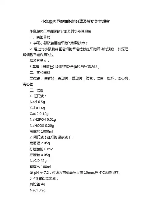小鼠腹腔巨噬细胞的分离及其功能性观察