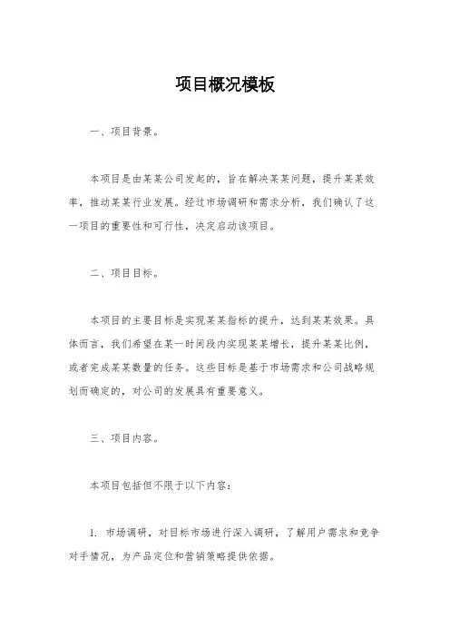 项目概况模板