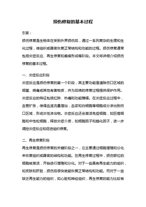 损伤修复的基本过程