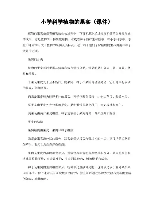 小学科学植物的果实(课件)