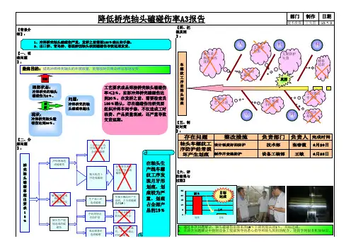 A3报告完整版(案例)
