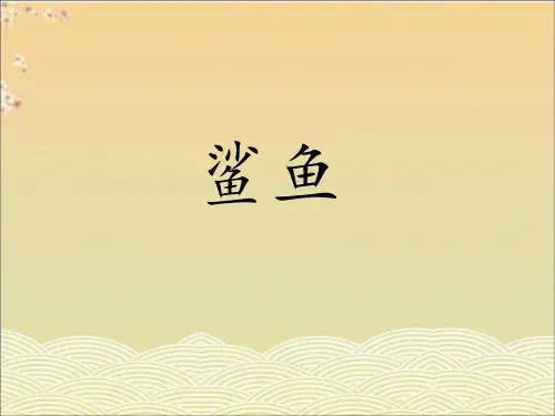 《鲨鱼》课件