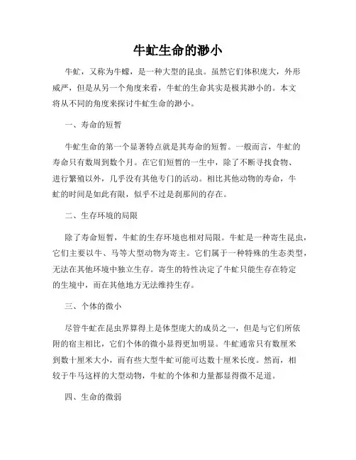 牛虻生命的渺小