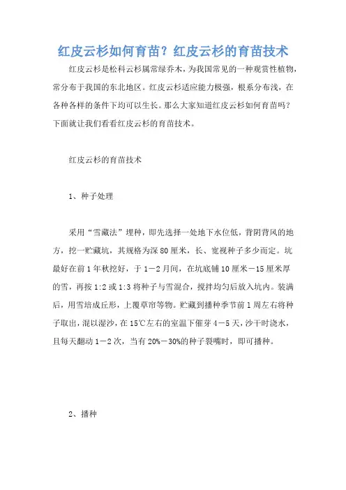 红皮云杉如何育苗？红皮云杉的育苗技术
