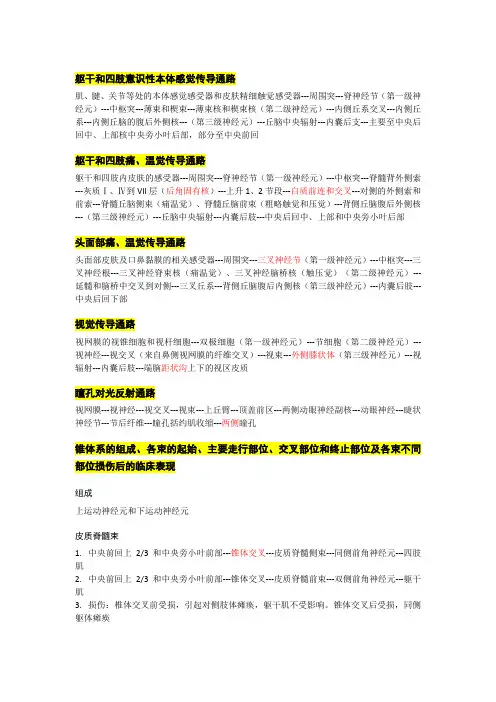神经系统的传导通路