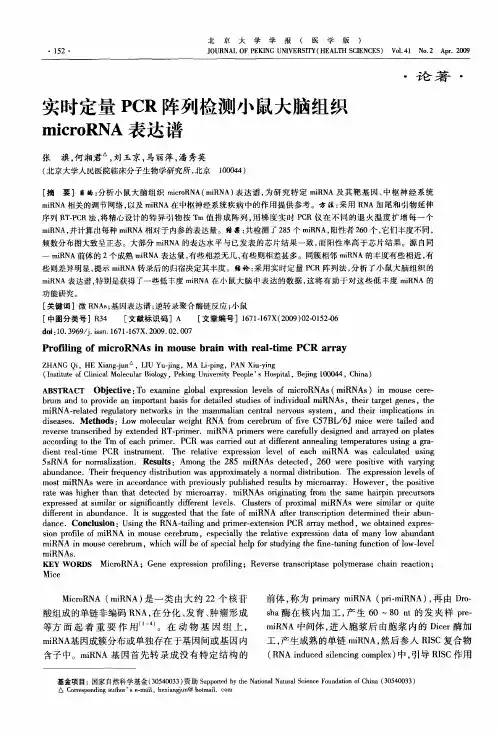 实时定量PCR阵列检测小鼠大脑组织microRNA表达谱