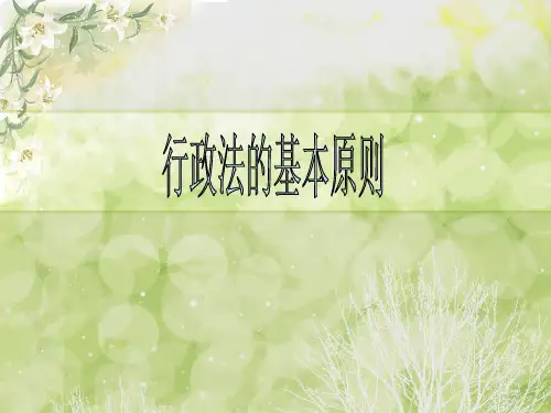 行政法的基本原则