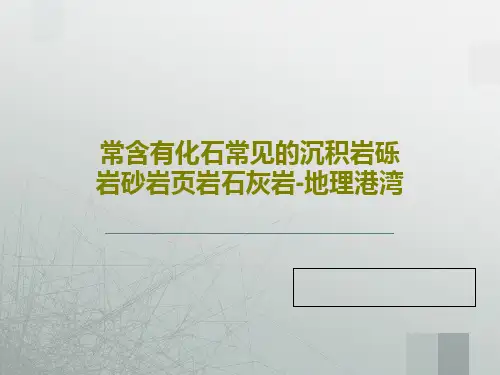 常含有化石常见的沉积岩砾岩砂岩页岩石灰岩-地理港湾共23页文档