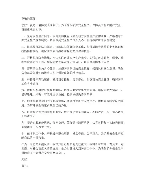 防突队副队长安全承诺书