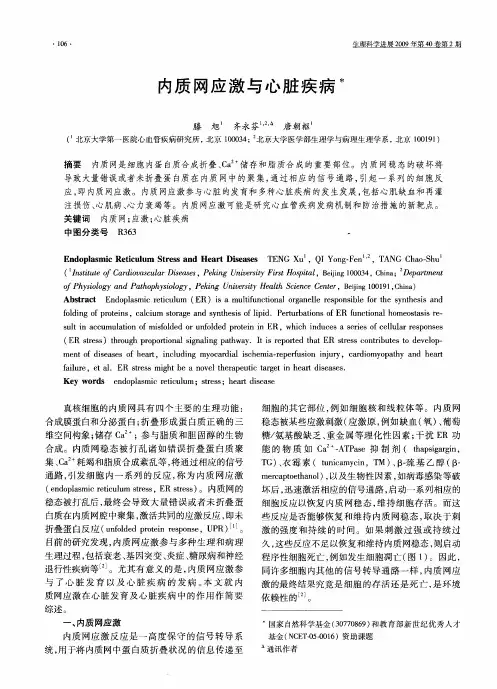 内质网应激与心脏疾病