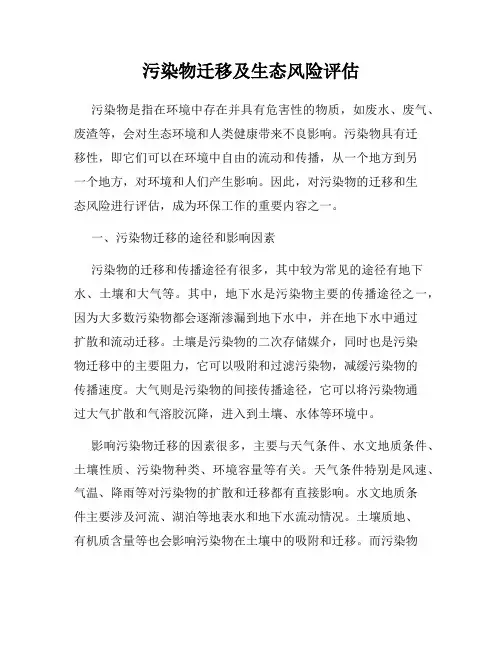 污染物迁移及生态风险评估