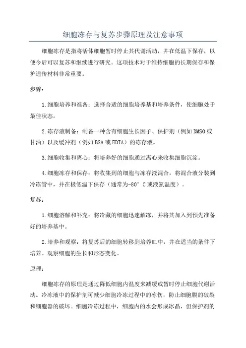 细胞冻存与复苏步骤原理及注意事项