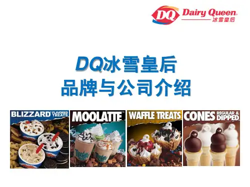 DQ品牌与公司介绍