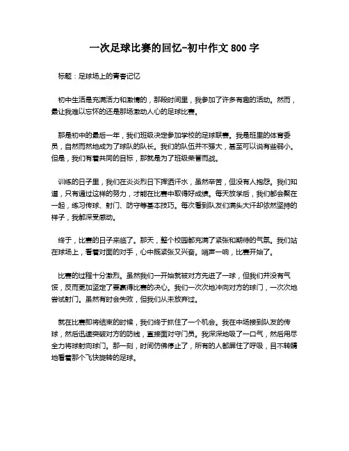一次足球比赛的回忆-初中作文800字