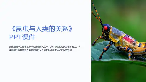 《昆虫与人类的关系》课件