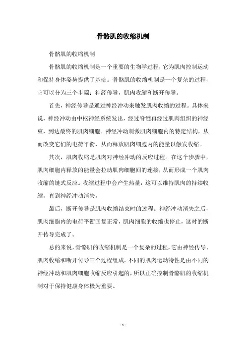 骨骼肌的收缩机制