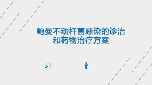 鲍曼不动杆菌感染的诊治和药物治疗方案