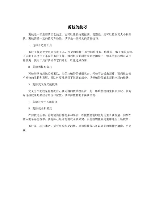 剪枝的技巧