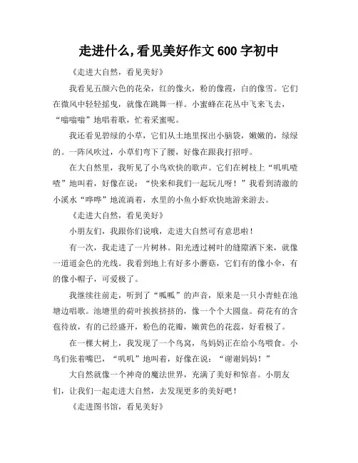 走进什么,看见美好作文600字初中