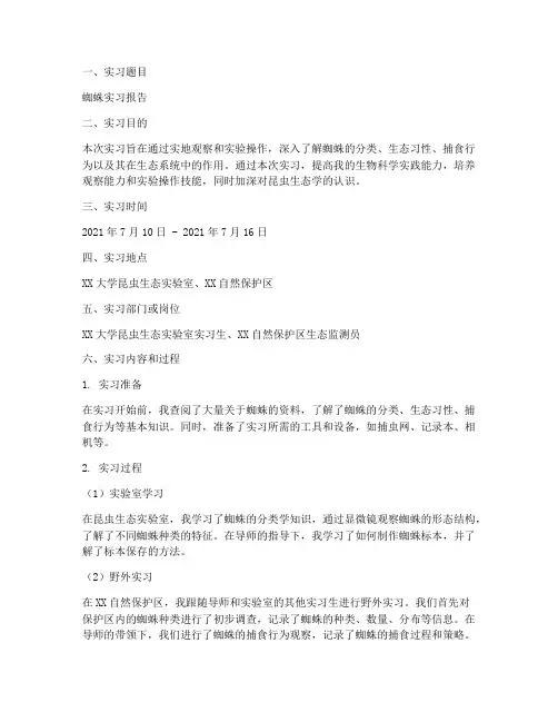 蜘蛛实习报告