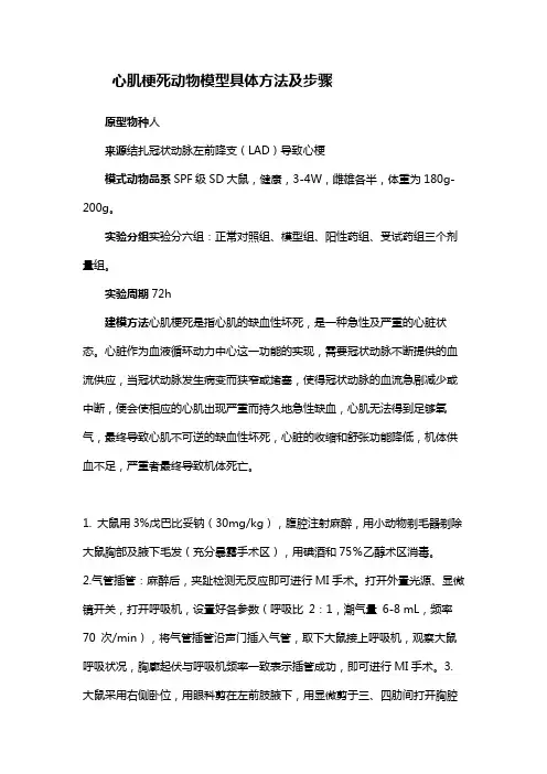 心肌梗死动物模型具体方法及步骤
