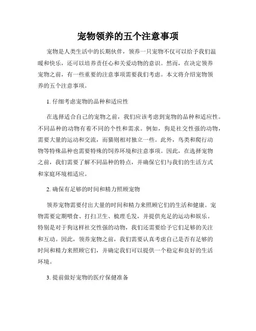 宠物领养的五个注意事项