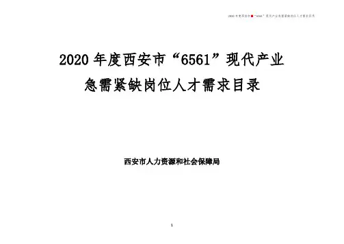 2020年度西安市6561现代产业